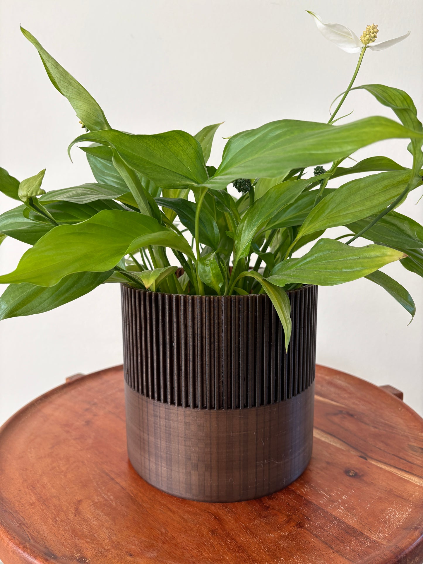 Ridge Textured Plant Pot